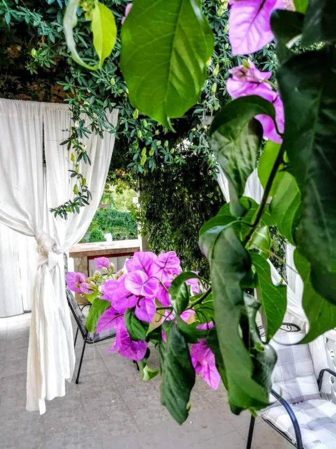 Apartments Dumic Crikvenica Ngoại thất bức ảnh